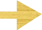 g2